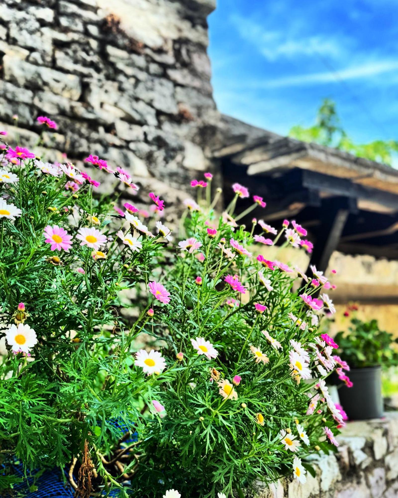 Melodia - Harmony Heaven Gjirokastër Exterior foto